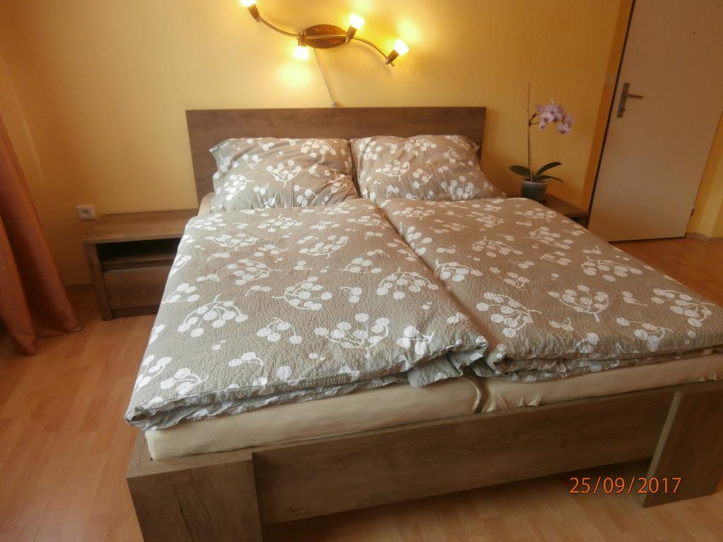 Apartman Aya Janov nad Nisou Luaran gambar