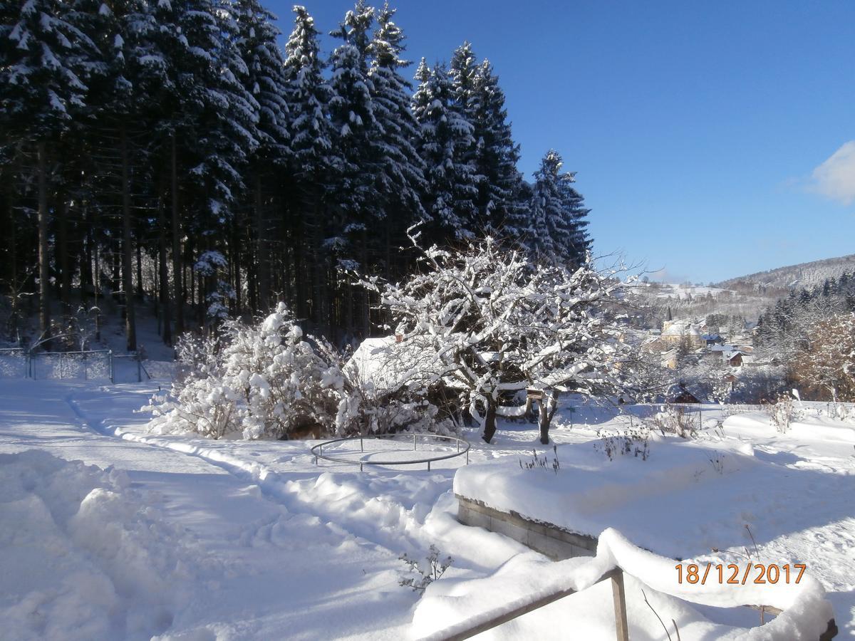 Apartman Aya Janov nad Nisou Luaran gambar